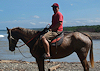(July 16, 2009) Day 3 - Horseback Riding 2